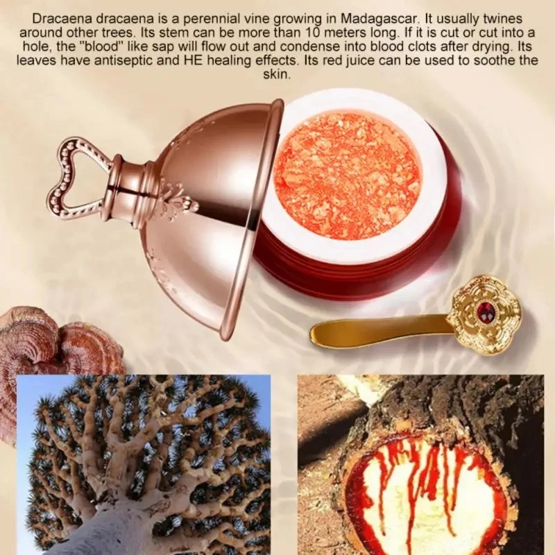 Dragon's Blood Face Cream Reti - огляд і ціна Luxury Skincare Brands